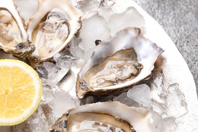 Delicious fresh oysters with lemon on grey table, closeup