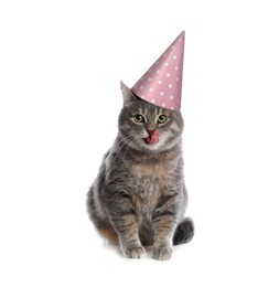 Cute gray tabby cat with party hat on white background