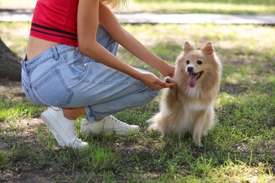 Young woman with her cute dog in park, closeup
