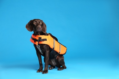 Dog rescuer in life vest on light blue background. Space for text