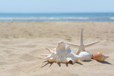 Beautiful starfish and sea shells on sandy beach, space for text