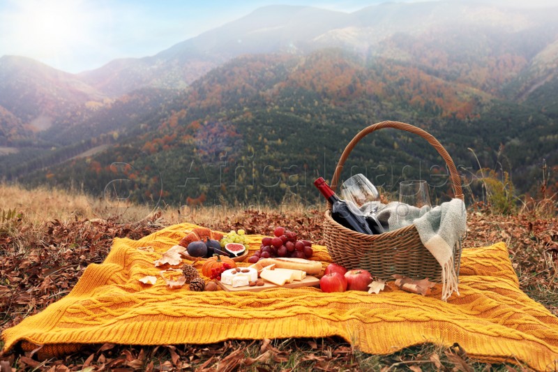 Knitted plaid with picnic basket, wine and snacks in mountains on autumn day