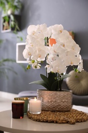Beautiful white orchids and candles on table in room. Interior design