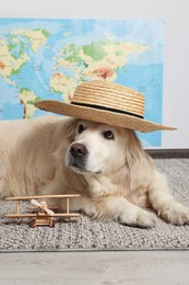 Cute golden retriever in straw hat near toy airplane on floor against world map indoors. Travelling with pet