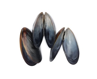 Open empty mussel shells on white background, top view