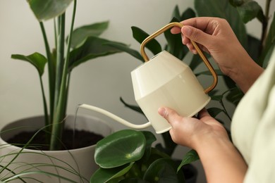Photo of Woman watering beautiful potted houseplant, closeup view
