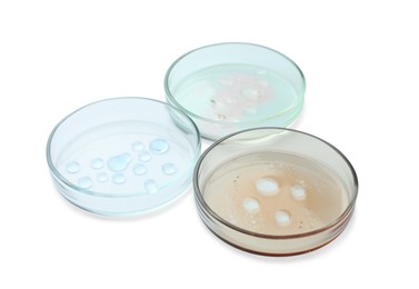 Petri dishes with color liquids on white background