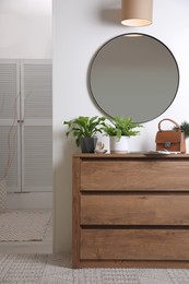 Beautiful potted ferns and accessories on wooden cabinet in hallway