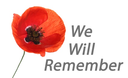 Remembrance day card. Red poppy flower and text We Will Remember on white background