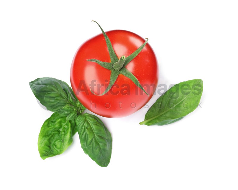 Photo of Fresh green basil leaves and tomato on white background, top view