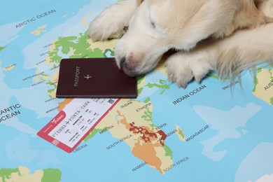 Dog lying near passport and ticket on world map, closeup. Travelling with pet