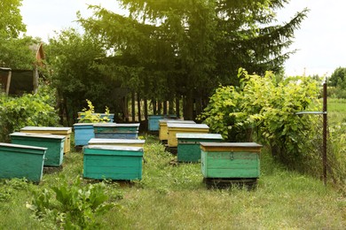 Many colorful bee hives at apiary outdoors