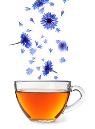 Beautiful tender blue cornflower petals falling into cup of tea on white background