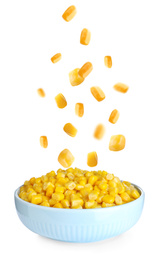 Sweet corn kernels falling into bowl on white background