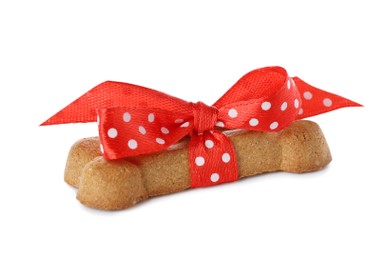 Bone shaped dog cookie with red bow isolated on white