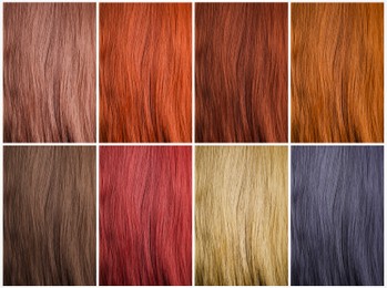 Collage with multicolored hair samples. Color palette