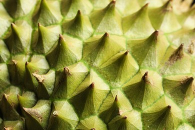 Closeup view of ripe durian as background