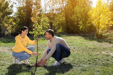 Photo of People planting young tree in park on sunny day, space for text