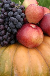 Photo of Ripe pumpkin, grapes and apples as background, closeup Autumn harvest