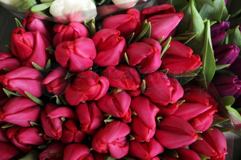 Beautiful red tulips as background, closeup. Floral decor