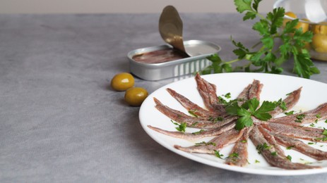 Photo of Delicious anchovy fillets, served with olives and parsley on grey table, space for text