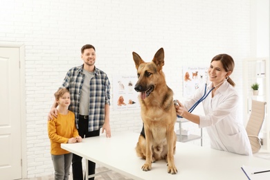 Father and son with their pet visiting veterinarian in clinic. Doc examining dog