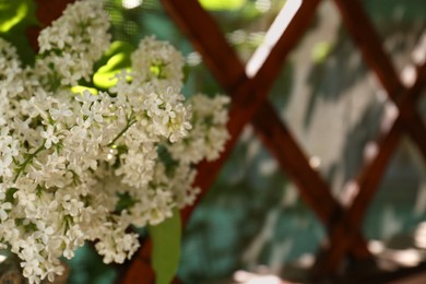 Photo of Beautiful lilac flowers near window indoors, closeup. Space for text