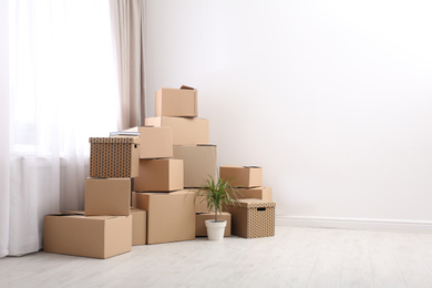Moving boxes and potted plant in empty room, space for text