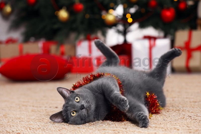 Photo of Cute cat with colorful tinsel in room decorated for Christmas