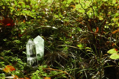 Sunlit crystals on ground in forest, space for text