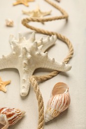 Beautiful sea stars, shells and rope on sand, closeup