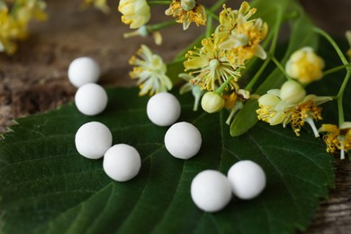Homeopathic remedy and linden flowers on wooden table, closeup