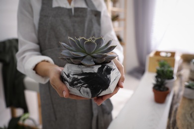 Woman with beautiful potted succulent indoors, closeup