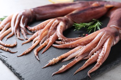Fresh raw squids on slate board, closeup