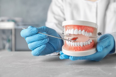 Dentist holding educational model of oral cavity at table in clinic, closeup