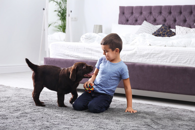 Little boy playing with puppy in bedroom. Friendly dog
