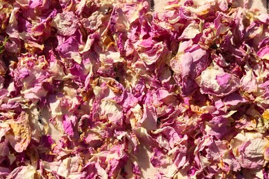 Photo of Scattered dried tea rose petals as background, closeup