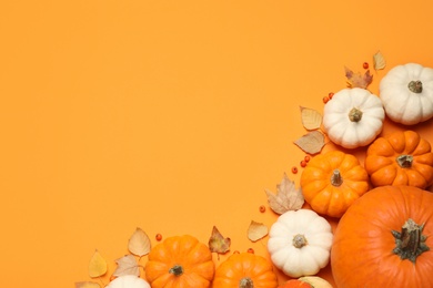 Different ripe pumpkins, autumn leaves and berries on orange background, flat lay. Space for text
