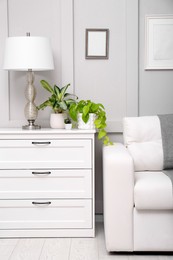 Living room interior with white furniture, stylish accessories and houseplants
