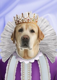 Cute dog dressed like royal person against light blue background