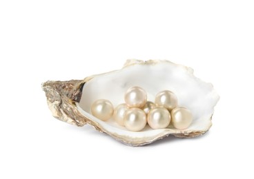 Oyster shell with pearls on white background