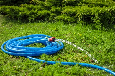 Photo of Water flowing from hose on green grass outdoors