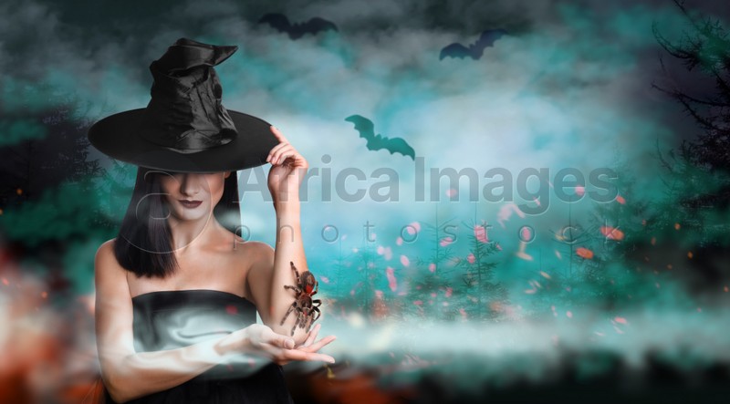 Image of Young girl dressed as witch with creepy spider in misty forest at night. Halloween fantasy