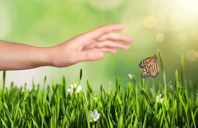 Woman reaching for monarch butterfly above green grass, closeup