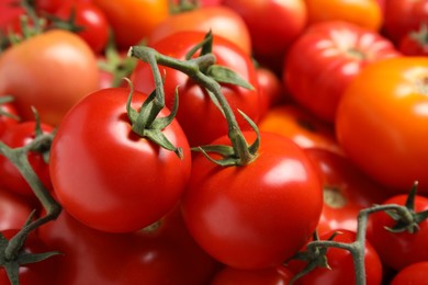 Many different ripe tomatoes as background, closeup