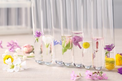 Test tubes with different flowers on white wooden table. Essential oil extraction