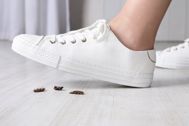 Woman crushing cockroaches with feet, closeup. Pest control