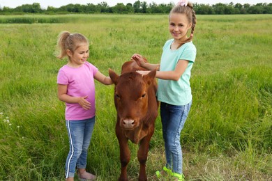Cute little girls with calf in green field