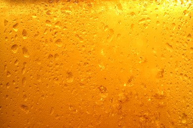 Glass of tasty cold beer with condensation drops as background, closeup
