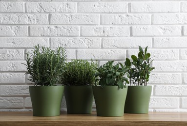 Different aromatic potted herbs on wooden table near white brick wall